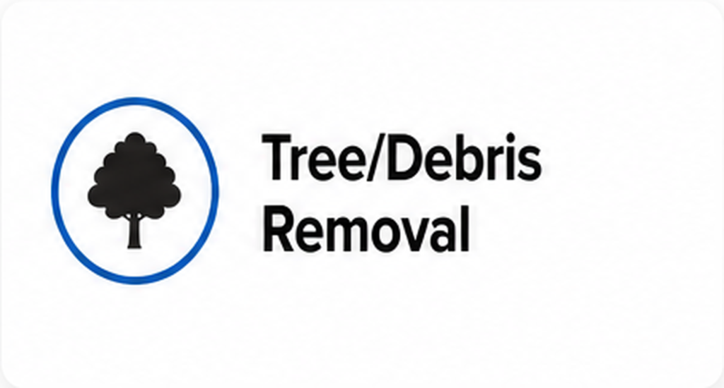 05 tree debris removal1.webp